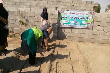 «باغچه‌های خانگی» طرحی در راستای سلامت شهروندان بوکانی