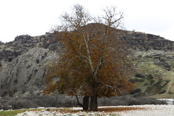 چشمه های خروشان اندیکا