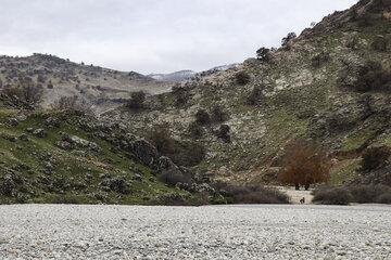 چشمه های خروشان اندیکا