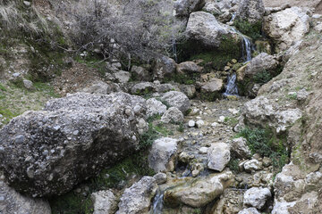 چشمه های خروشان اندیکا