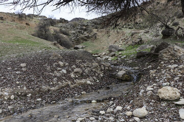 چشمه های خروشان اندیکا
