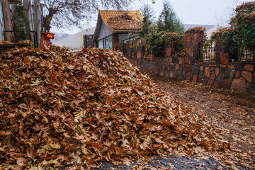 Nature automnale du parc Sartchechmeh à Mahallat