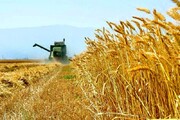 کشاورز: سیاست وزارت جهاد غنی‌سازی محصولات کشاورزی است