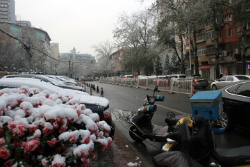 برف در پکن