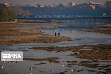 Guests of Zayanderud River in central Iran