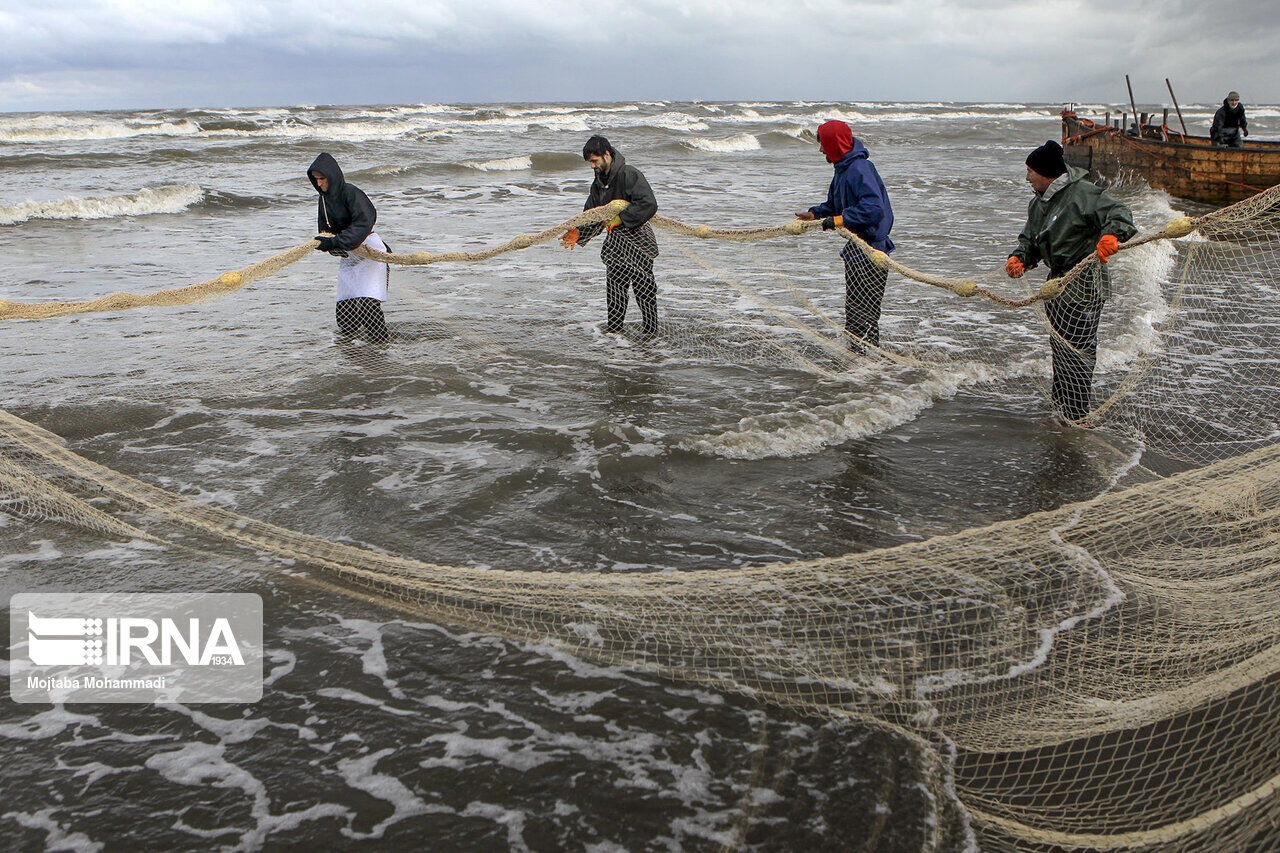 FAO supports Iran in cage fish farming