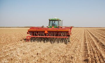 بیمه محصولات کشاورزی پاییزی خوزستان ۳۶درصد کاهش یافت