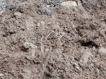 کشف سفال و استخوان انسان در حفاری شهر دامغان