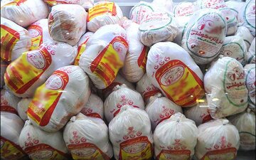 توزیع ۱۰ تن مرغ منجمد ویژه شب یلدا در مهاباد آغاز شد