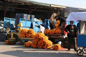 آمادگی میدان میوه و تره بار ورامین برای شب یلدا