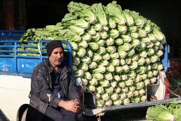 آمادگی میدان میوه و تره بار ورامین برای شب یلدا