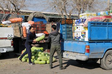 آمادگی میدان میوه و تره بار ورامین برای شب یلدا