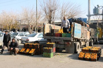 آمادگی میدان میوه و تره بار ورامین برای شب یلدا