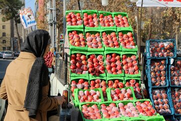 آمادگی میدان میوه و تره بار ورامین برای شب یلدا