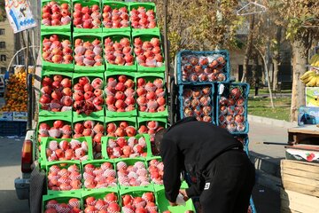 آمادگی میدان میوه و تره بار ورامین برای شب یلدا