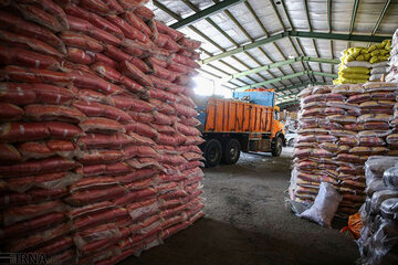 ۲۷۱ تن برنج و شکر در روانسر توزیع شد