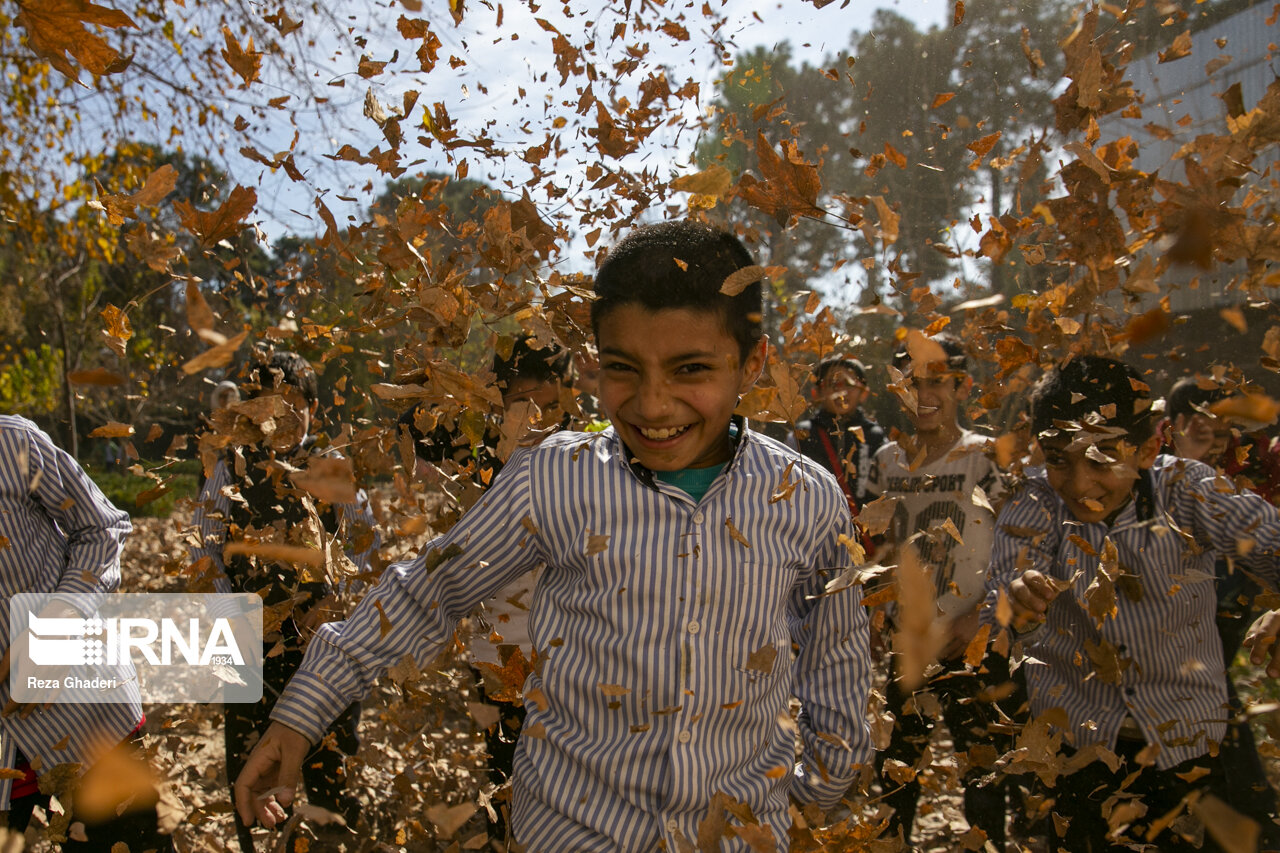 جشنواره برگ‌های پاییزی در بوستان وصال شیرازی