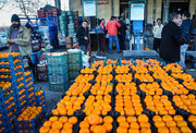 یک هزار و ۴۰۰ تن  میوه شب عید در گیلان ذخیره سازی شد