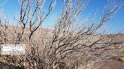 Beautiful nature of deserts in northern Iran