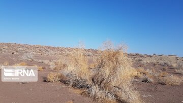 Beautiful nature of deserts in north Iran