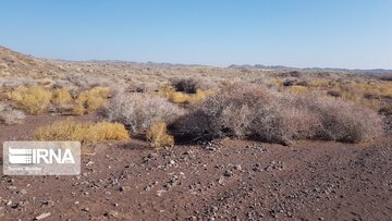 Beautiful nature of deserts in north Iran