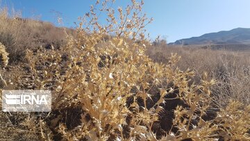 Beautiful nature of deserts in north Iran