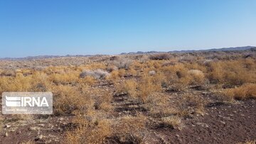 Beautiful nature of deserts in north Iran