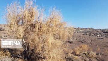 Beautiful nature of deserts in north Iran