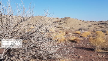 Beautiful nature of deserts in north Iran