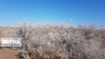 Beautiful nature of deserts in north Iran