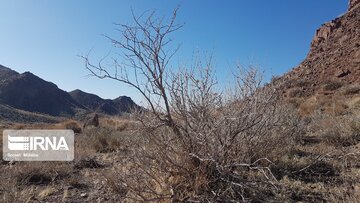 Beautiful nature of deserts in north Iran