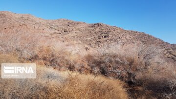 Beautiful nature of deserts in north Iran