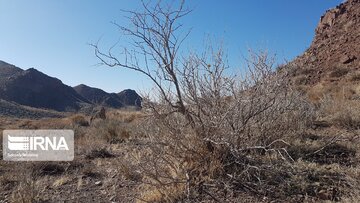 Beautiful nature of deserts in north Iran