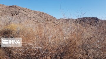 Beautiful nature of deserts in north Iran