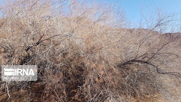 Beautiful nature of deserts in north Iran