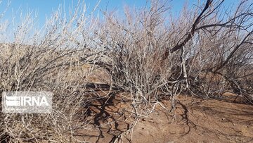 Beautiful nature of deserts in north Iran