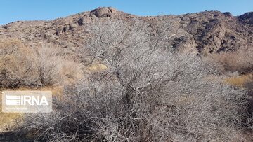 Beautiful nature of deserts in north Iran