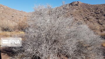 Beautiful nature of deserts in north Iran