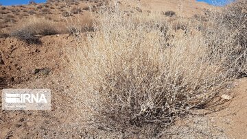 Beautiful nature of deserts in north Iran