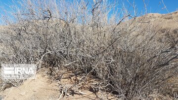 Beautiful nature of deserts in north Iran