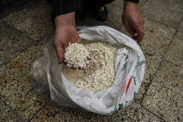 ابگرفتگی اهواز    فاضلاب اهواز