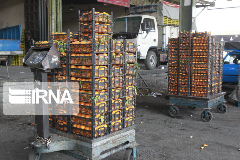 60,000 tons of citrus fruits exported from Mazandaran