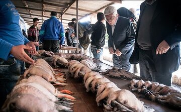 دست مافیای شکار در جیب شکارچیان خرده‌پای مازندران 