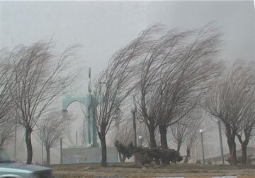 باد شدید سبزوار را در نوردید