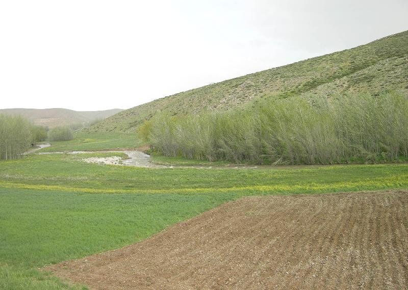 ۵۲ میلیارد تومان برای طرح جهش دیمزار های آذربایجان‌شرقی هزینه شد
