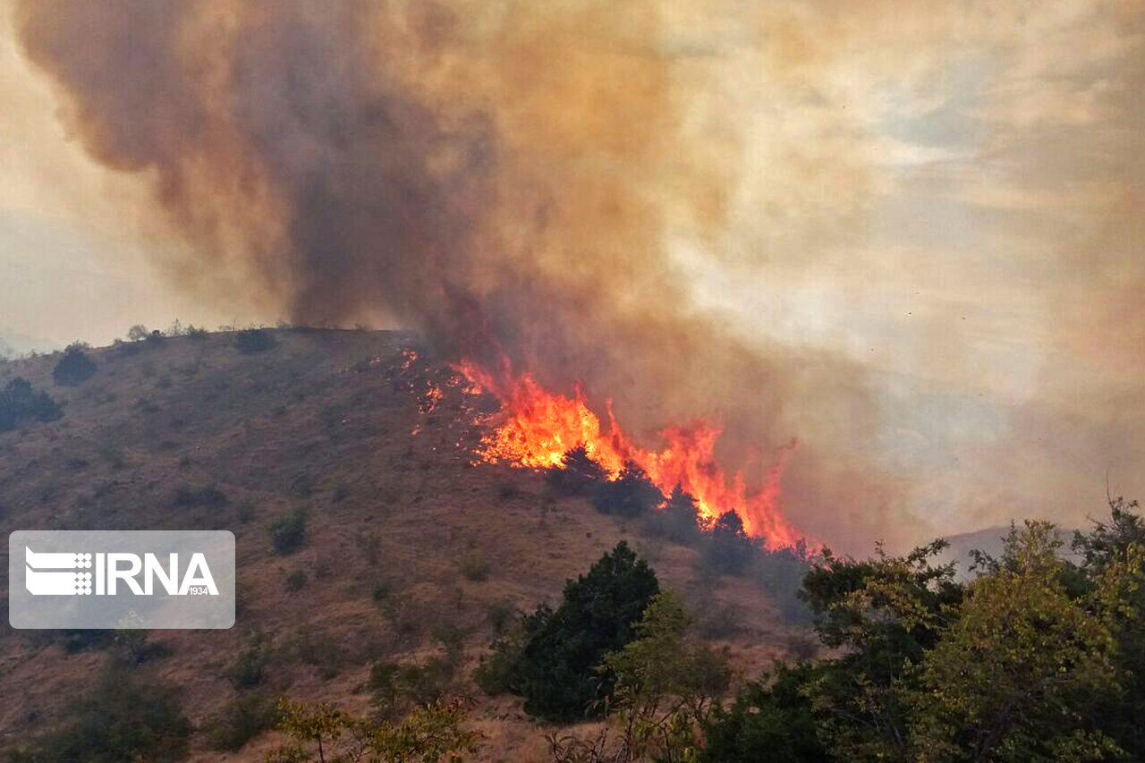 مدیرکل منابع طبیعی گیلان : خسارت جدی در اثر آتش سوزی اخیر به جنگلها وارد نشد  
