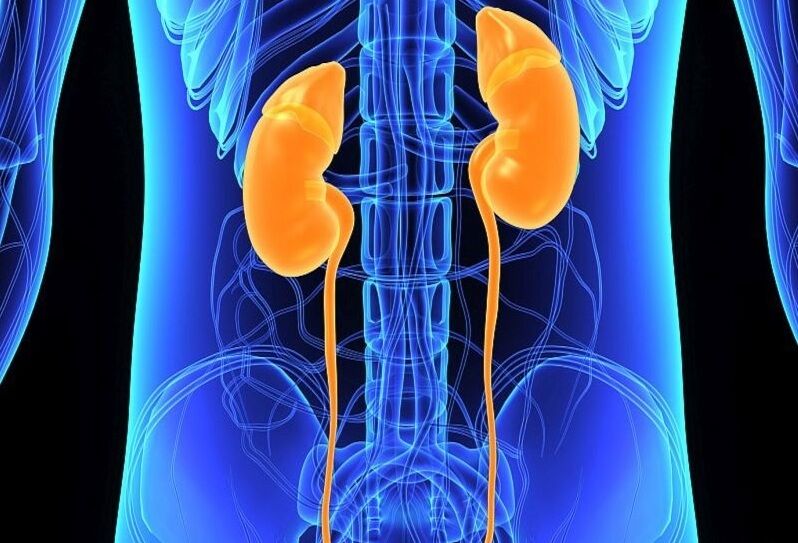 Urologie-Wissensproduktion: Iran belegt im internationalen Vergleich den 22. Rang Urologie-Wissensproduktion: Iran belegt im internationalen Vergleich den 22. Rang