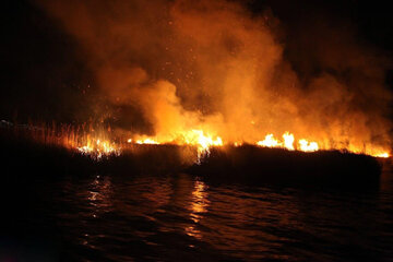 آتش سوزی در نیزارهای دریاچه زریبار مریوان همچنان ادامه دارد 