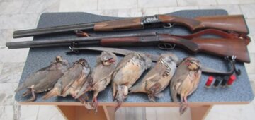 سه شکارچی متخلف در دامغان دستگیر شدند