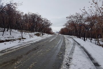 طبیعت برفی اشنویه